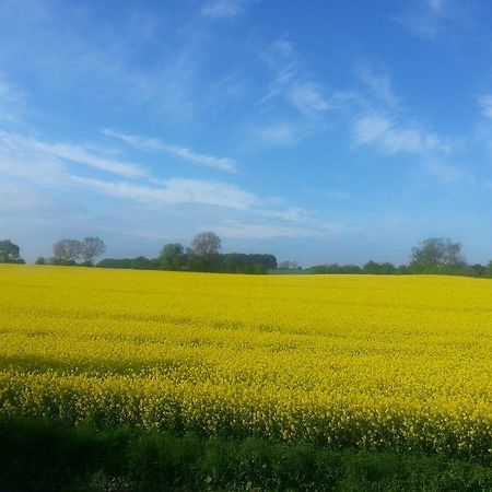 Jungshoved Kro B&B Præstø Buitenkant foto